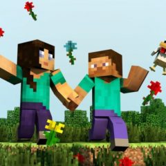 LEGO MINECRAFT VIDEO KAMP