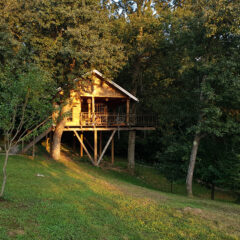 Kamo za vikend s djecom? U Treehouse Resnice!