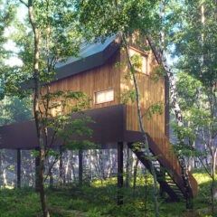 Zeleno je novo crno – uključi se u projekt i udomi prirodu!